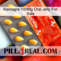 Kamagra 100Mg Oral Jelly For Sale new01